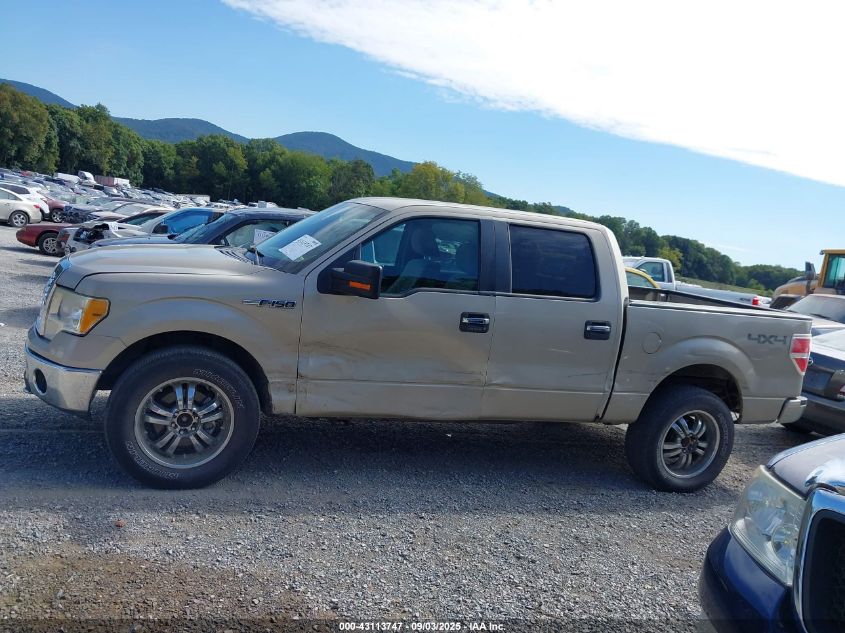 2010 Ford F-150 Fx4/Harley-Davidson/King Ranch/Lariat/Platinum/Xl/Xlt VIN: 1FTFW1EV7AFD30638 Lot: 43113747