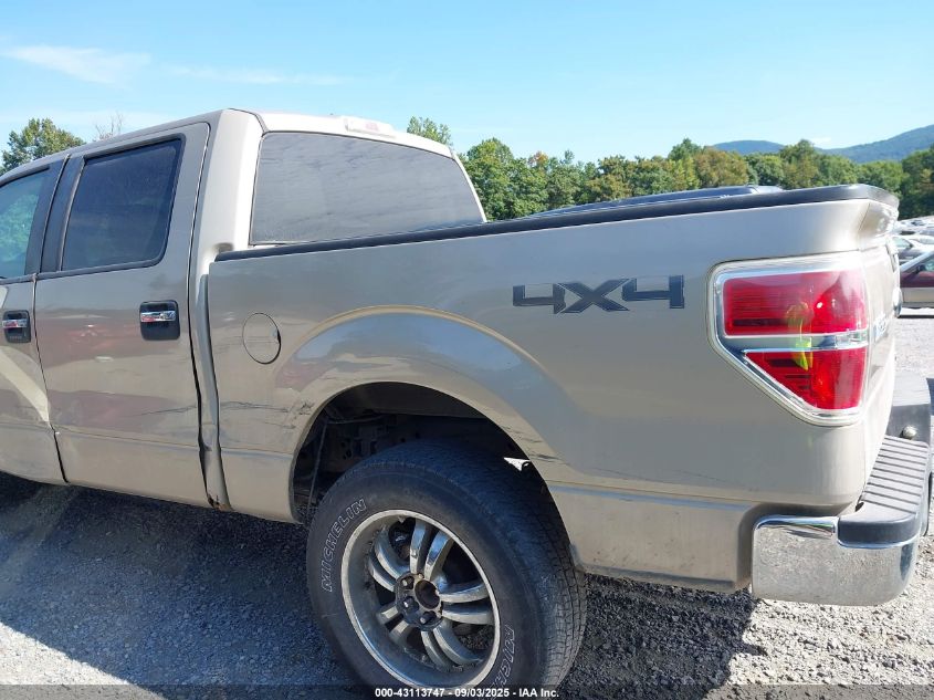 2010 Ford F-150 Fx4/Harley-Davidson/King Ranch/Lariat/Platinum/Xl/Xlt VIN: 1FTFW1EV7AFD30638 Lot: 43113747
