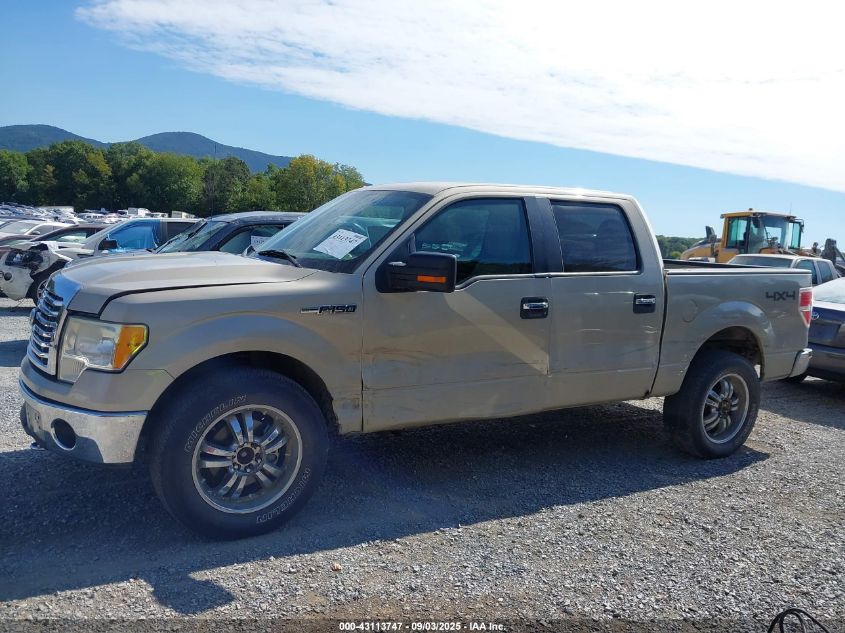 2010 Ford F-150 Fx4/Harley-Davidson/King Ranch/Lariat/Platinum/Xl/Xlt VIN: 1FTFW1EV7AFD30638 Lot: 43113747