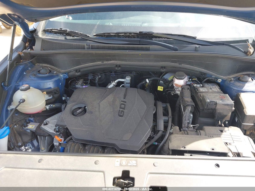 2023 Hyundai Santa Fe Sel VIN: 5NMS2DAJXPH544548 Lot: 43114705