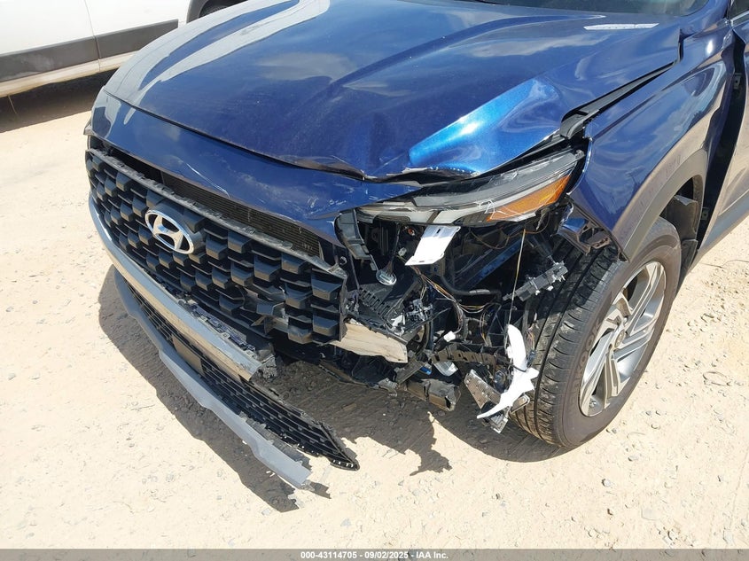 2023 Hyundai Santa Fe Sel VIN: 5NMS2DAJXPH544548 Lot: 43114705