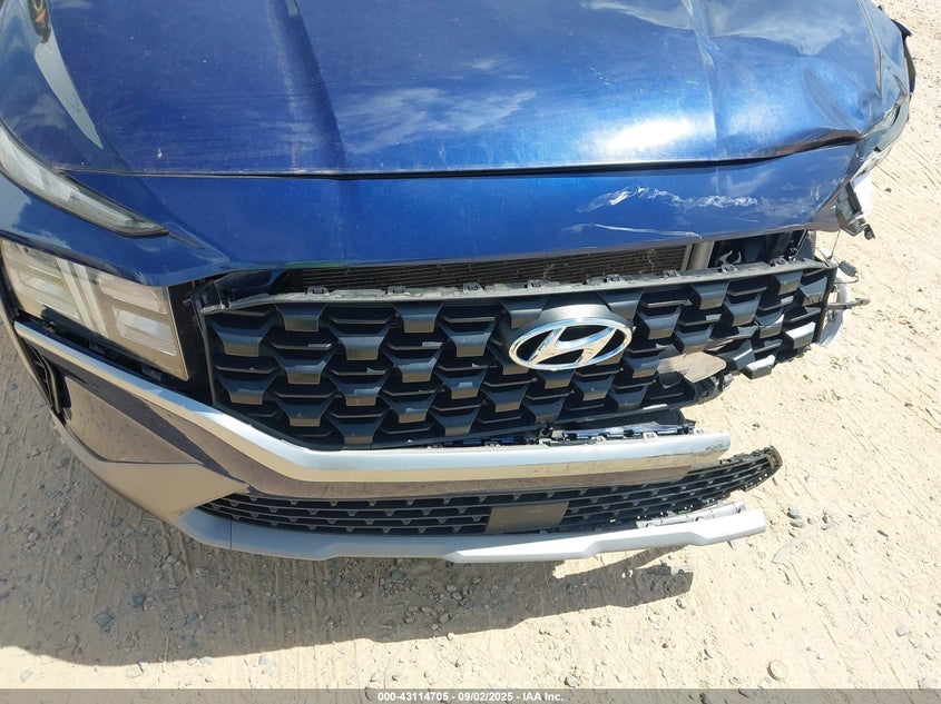2023 Hyundai Santa Fe Sel VIN: 5NMS2DAJXPH544548 Lot: 43114705