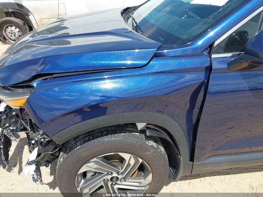 2023 Hyundai Santa Fe Sel VIN: 5NMS2DAJXPH544548 Lot: 43114705