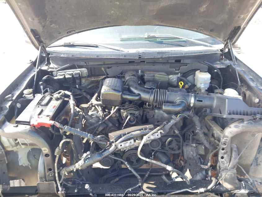 2010 Ford F-150 Fx2 Sport/Harley-Davidson/King Ranch/Lariat/Platinum/Xl/Xlt VIN: 1FTEW1CV2AFA87688 Lot: 43115587