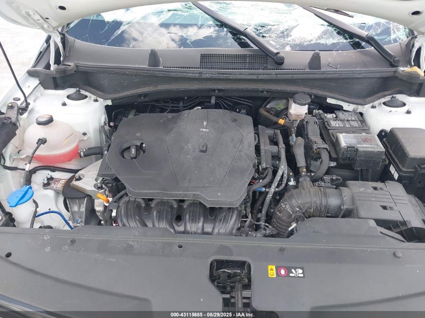 2024 Kia Sportage Ex VIN: 5XYK33DF6RG230942 Lot: 43115685