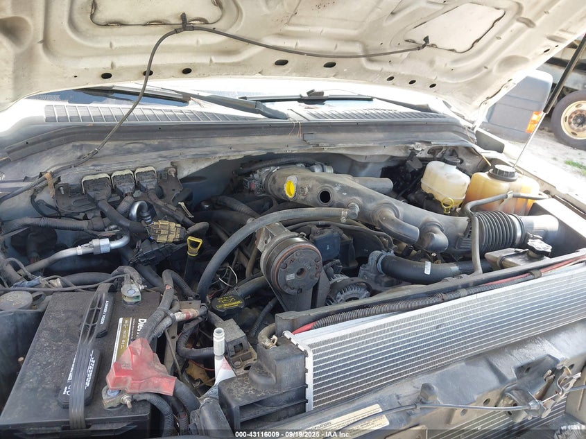 2009 Ford F-450 Chassis Xl/Xlt VIN: 1FDAF46Y19EB26600 Lot: 43116009