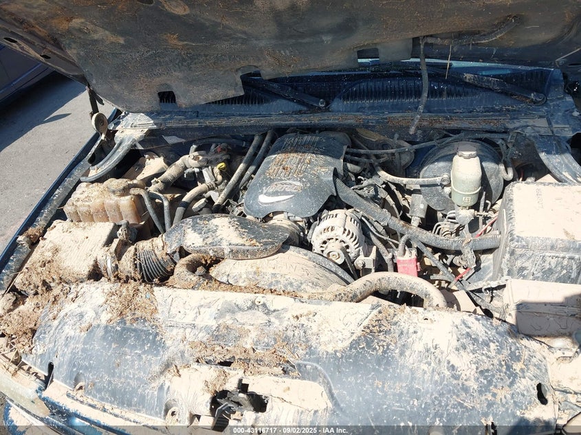 2002 Chevrolet Silverado 1500 Ls VIN: 2GCEC19V821254497 Lot: 43116717