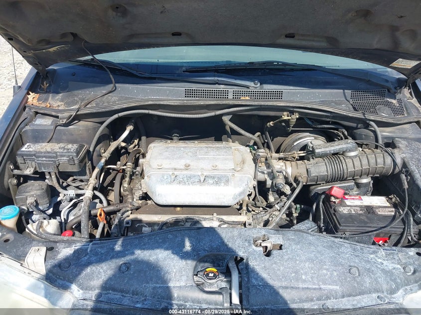 2004 Honda Odyssey Ex-L VIN: 5FNRL18974B098085 Lot: 43116774