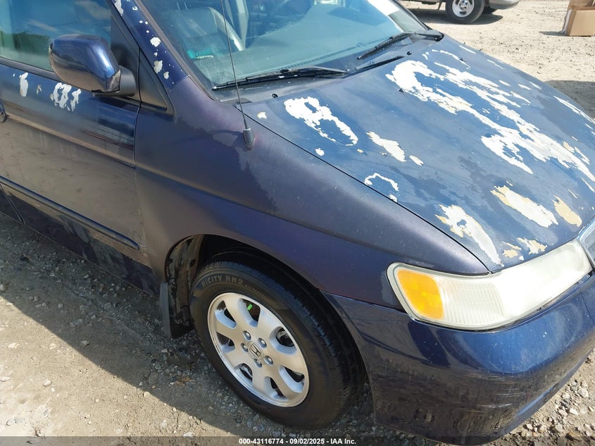 2004 Honda Odyssey Ex-L VIN: 5FNRL18974B098085 Lot: 43116774