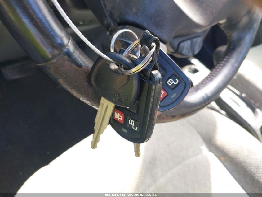 2005 Hyundai Santa Fe Gls VIN: KM8SC73D65U885663 Lot: 43117133