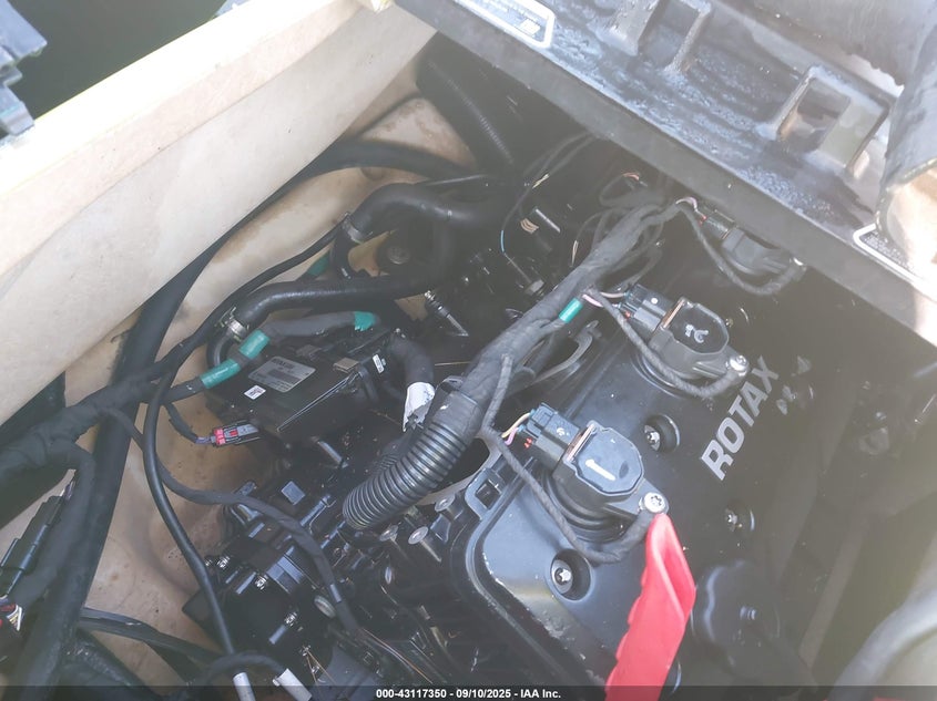 CAYDV13481A919 2019   photo no. 10