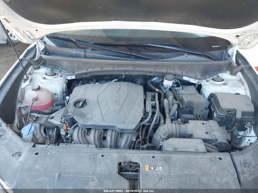 5NMJB3AE7PH246516 2023 HYUNDAI TUCSON photo no. 10