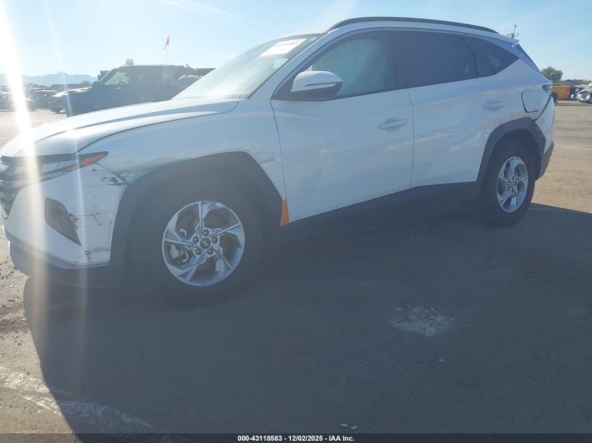 5NMJB3AE7PH246516 2023 HYUNDAI TUCSON photo no. 2