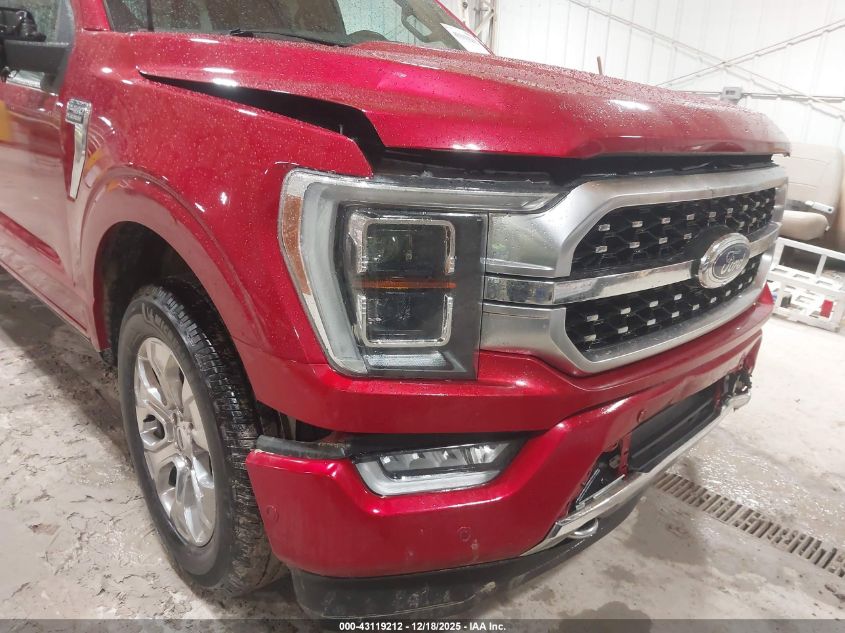 2023 Ford F-150 Platinum VIN: 1FTFW1E50PFA31601 Lot: 43119212