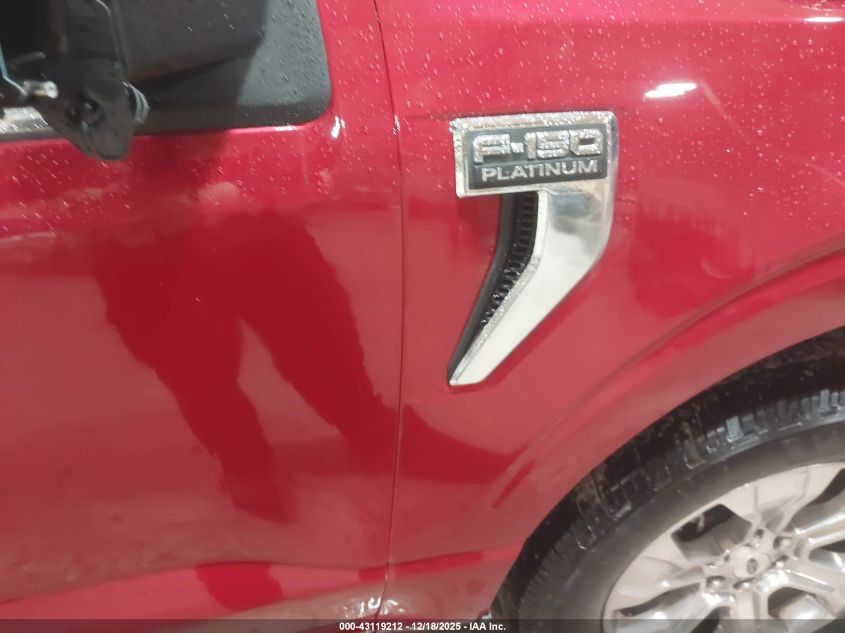 2023 Ford F-150 Platinum VIN: 1FTFW1E50PFA31601 Lot: 43119212