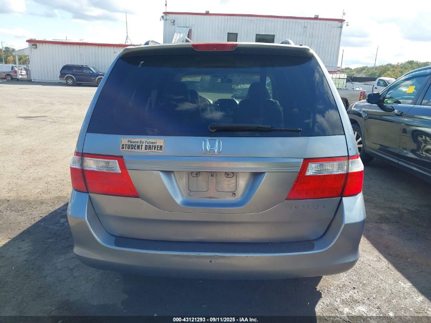 2005 Honda Odyssey Ex-L VIN: 5FNRL386X5B068517 Lot: 43121293