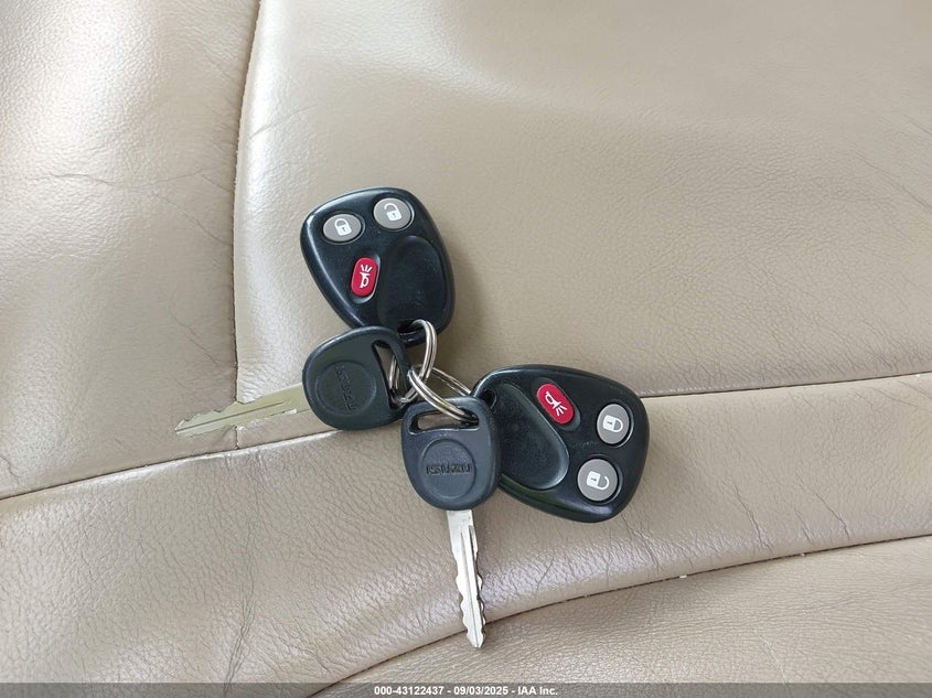 2004 Isuzu Ascender VIN: 4NUVS13S842102871 Lot: 43122437