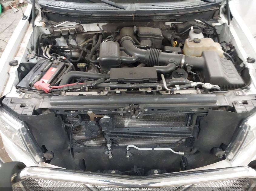 2010 Ford F-150 Fx4/Harley-Davidson/King Ranch/Lariat/Platinum/Xl/Xlt VIN: 1FTFW1EV1AFD11552 Lot: 43123740