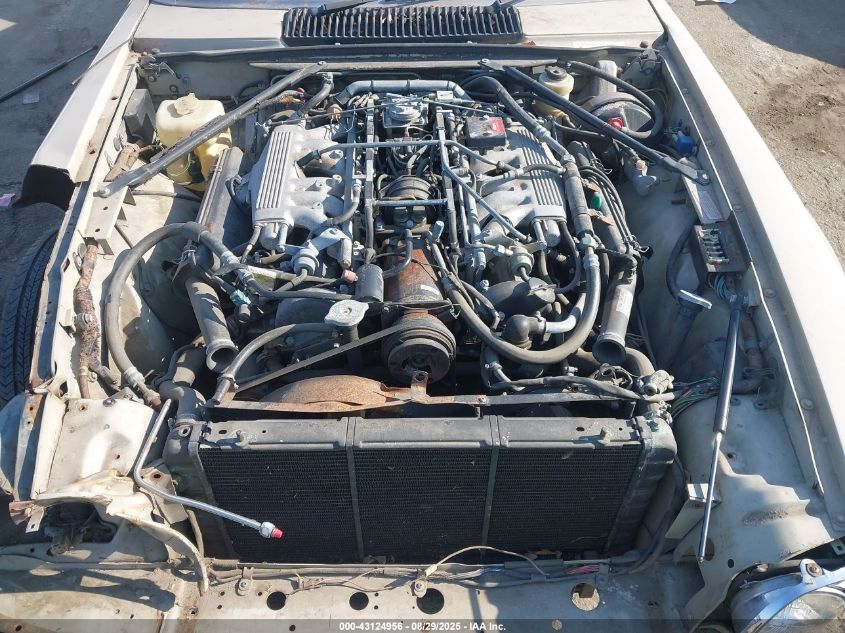 1985 Jaguar Xjs VIN: SAJNV5846FC117893 Lot: 43124956