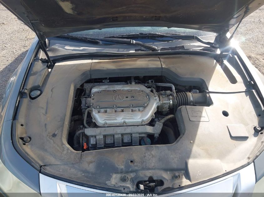 2009 Acura Tl VIN: 19UUA86529A008111 Lot: 43125428