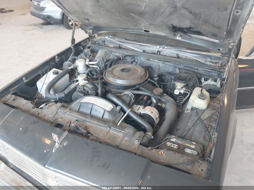 1986 Oldsmobile Cutlass Supreme VIN: 1G3GR69Y2GR359209 Lot: 43126291