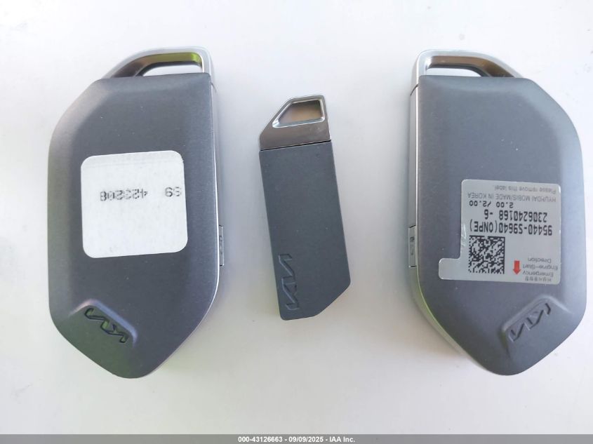 2024 Kia Telluride Ex VIN: 5XYP34GC5RG423208 Lot: 43126663