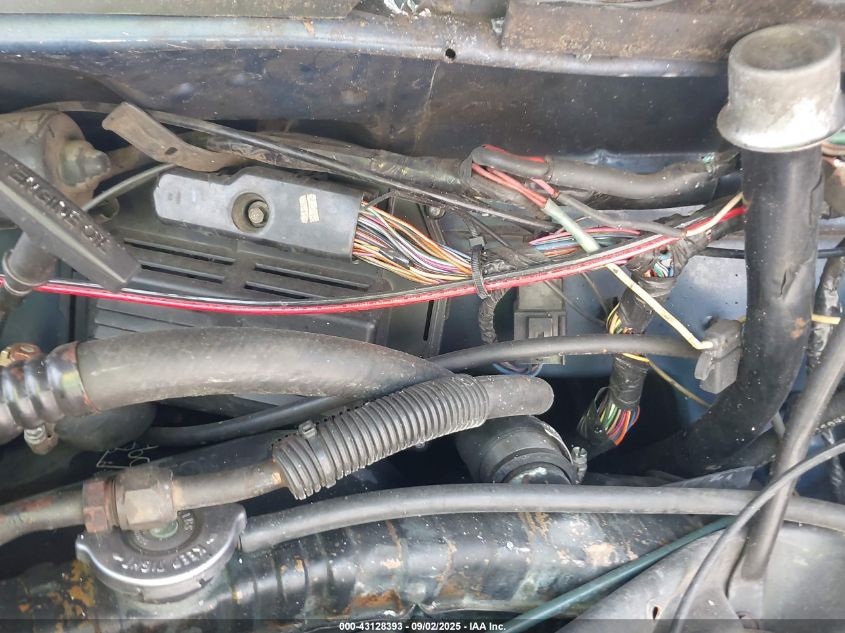 1994 Dodge Ram Wagon B350 VIN: 2B5WB35Y6RK550862 Lot: 43128393