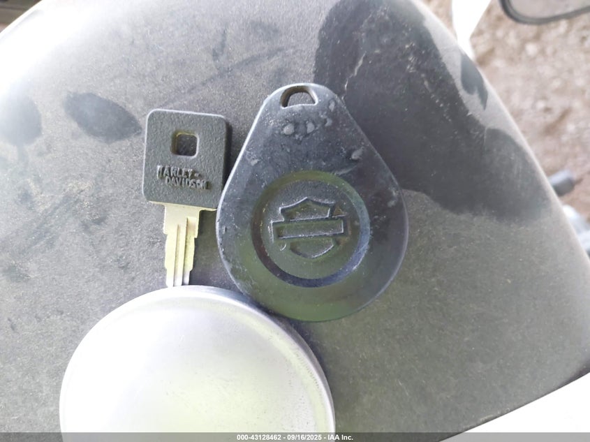 2022 Harley-Davidson Xl883 N VIN: 1HD4LE215NB404997 Lot: 43128462