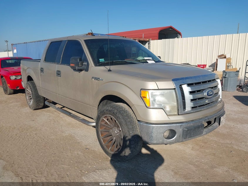 1FTEW1C81AFD86843 2010 Ford F-150 Xlt auction photo 1
