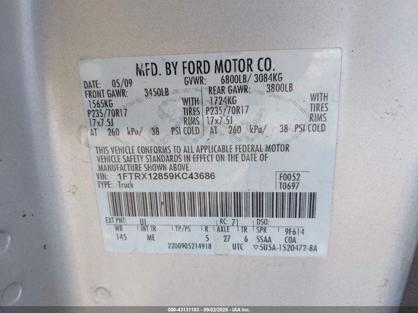 2009 Ford F-150 Stx/Xl/Xlt VIN: 1FTRX12859KC43686 Lot: 43131183