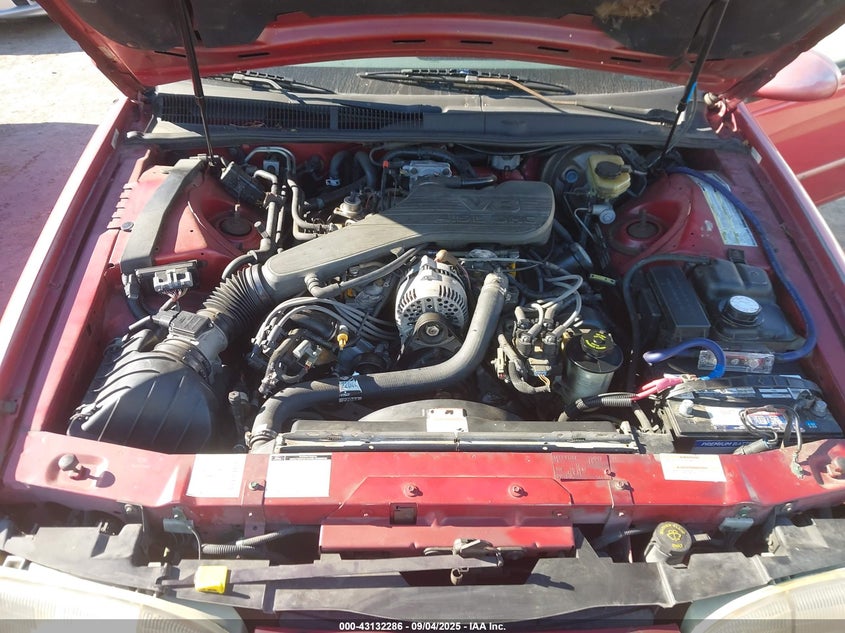 1995 Ford Thunderbird Lx VIN: 1FALP62W8SH204262 Lot: 43132286