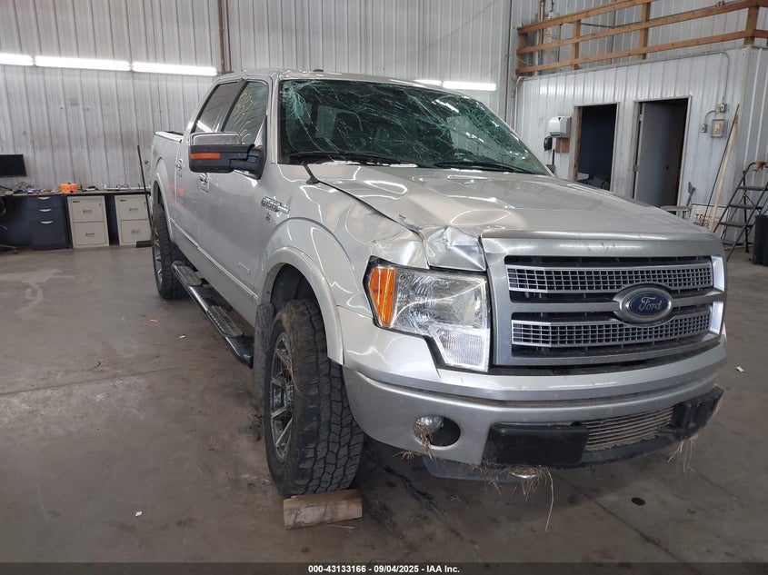 FORD F-150 PLATINUM