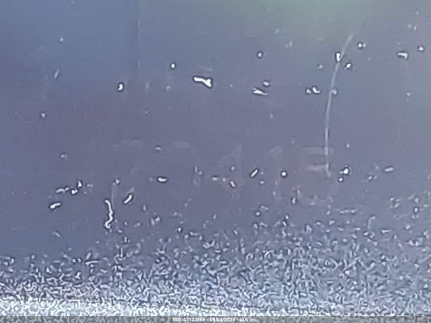 2003 Mercedes-Benz G 500 VIN: WDCYR49E93X141945 Lot: 43133598