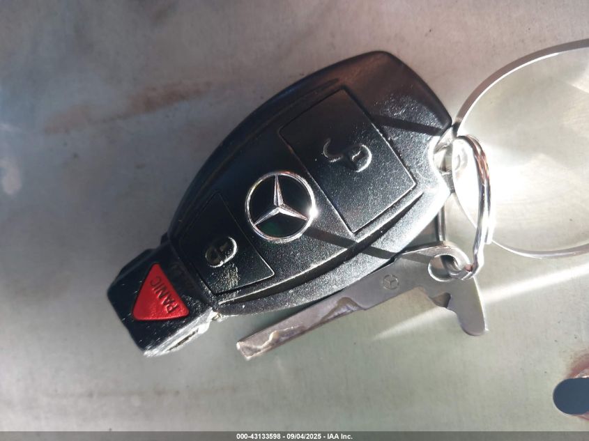 2003 Mercedes-Benz G 500 VIN: WDCYR49E93X141945 Lot: 43133598