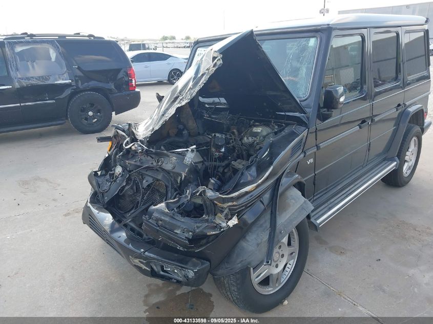 2003 Mercedes-Benz G 500 VIN: WDCYR49E93X141945 Lot: 43133598