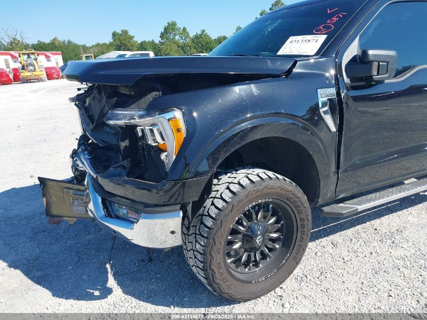 2023 Ford F150 Xlt VIN: 1FTEW1CP9PKE39392 Lot: 43135871