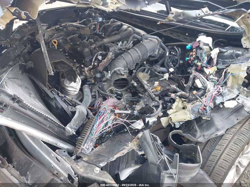 2019 TOYOTA AVALON LIMITED - 4T1BZ1FB2KU037300