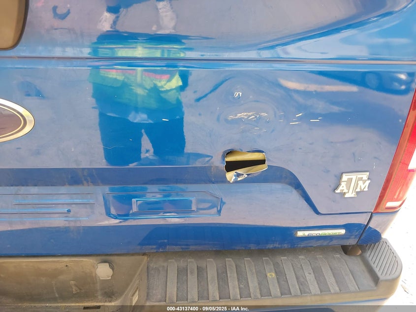 2018 Ford F-150 Xl VIN: 1FTEW1CP5JKE13301 Lot: 43137400