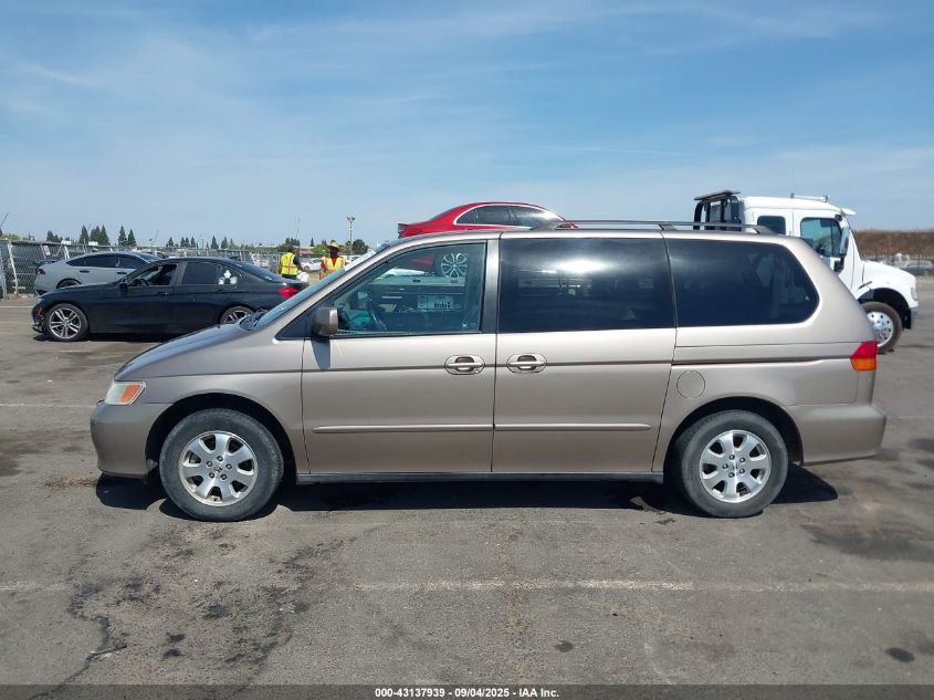 2003 Honda Odyssey Ex-L VIN: 5FNRL18993B150816 Lot: 43137939