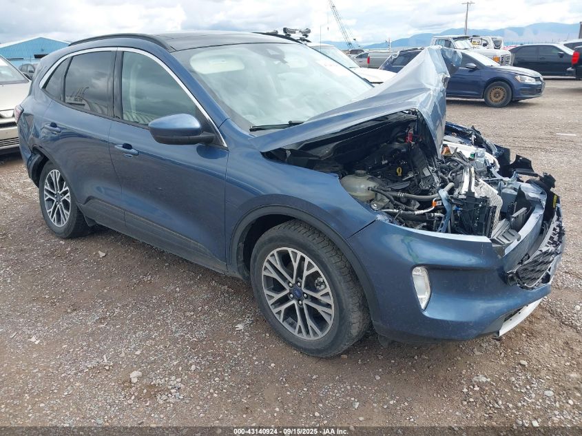 FORD ESCAPE SEL