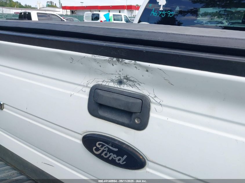 2009 Ford F-150 Fx4/King Ranch/Lariat/Platinum/Xl/Xlt VIN: 1FTPW14V19FA67595 Lot: 43140954