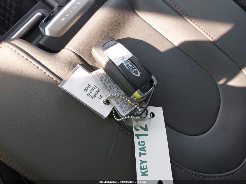 2025 Ford Expedition Active VIN: 1FMJU1J81SEA29754 Lot: 43142045