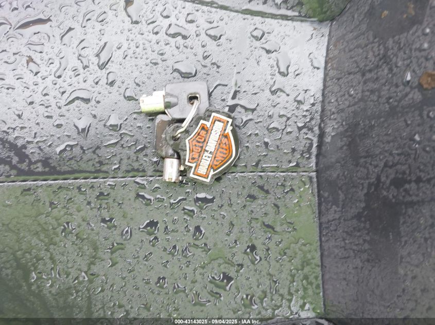 1999 Harley-Davidson Flhtcui Shrine VIN: 1HD1FLW16XY601816 Lot: 43143025