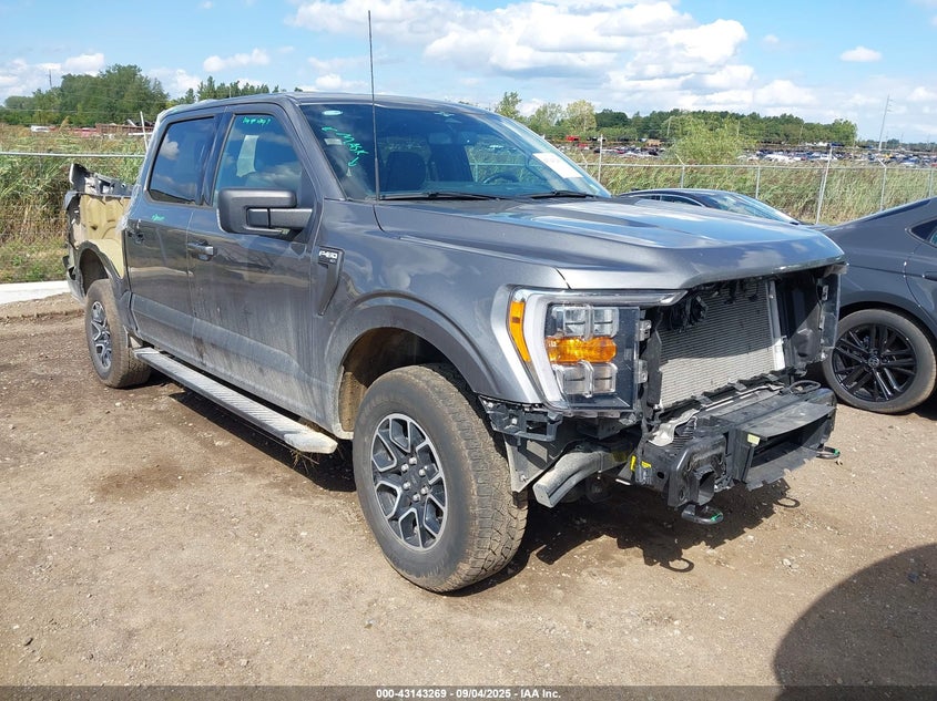 FORD F-150 XLT