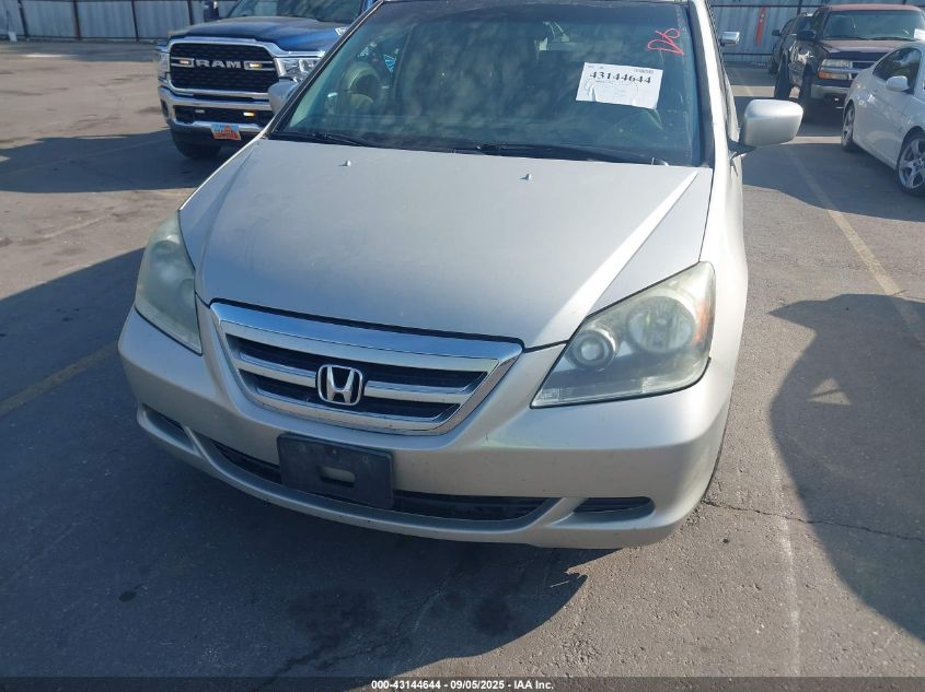 2005 Honda Odyssey Ex-L VIN: 5FNRL38605B049734 Lot: 43144644