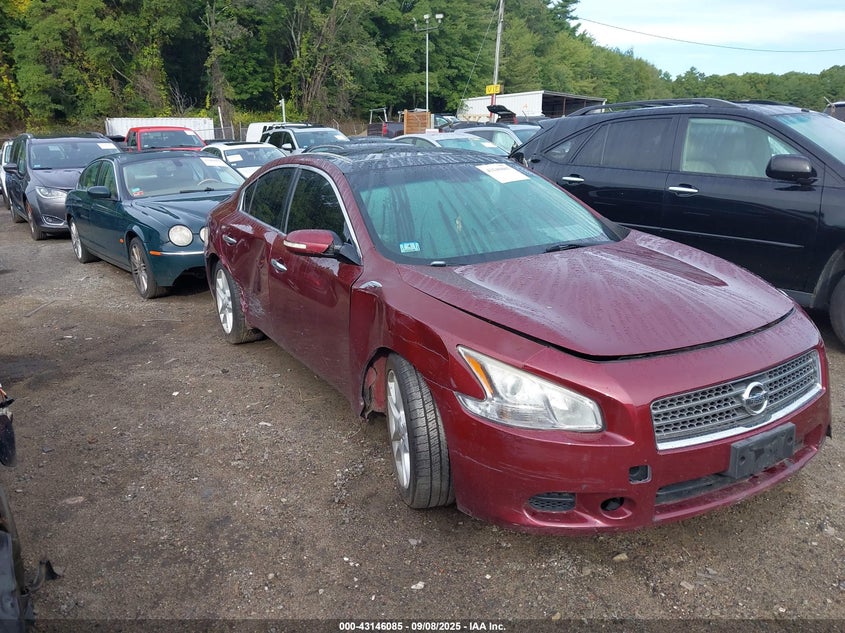 NISSAN MAXIMA 3.5 SV