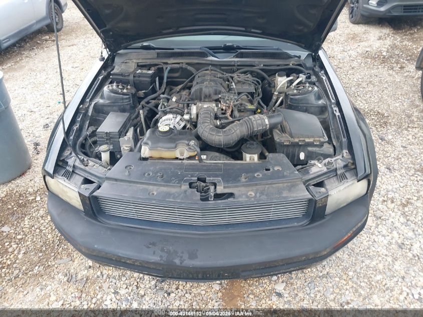 2009 Ford Mustang VIN: 1ZVHT80N395107299 Lot: 43146152