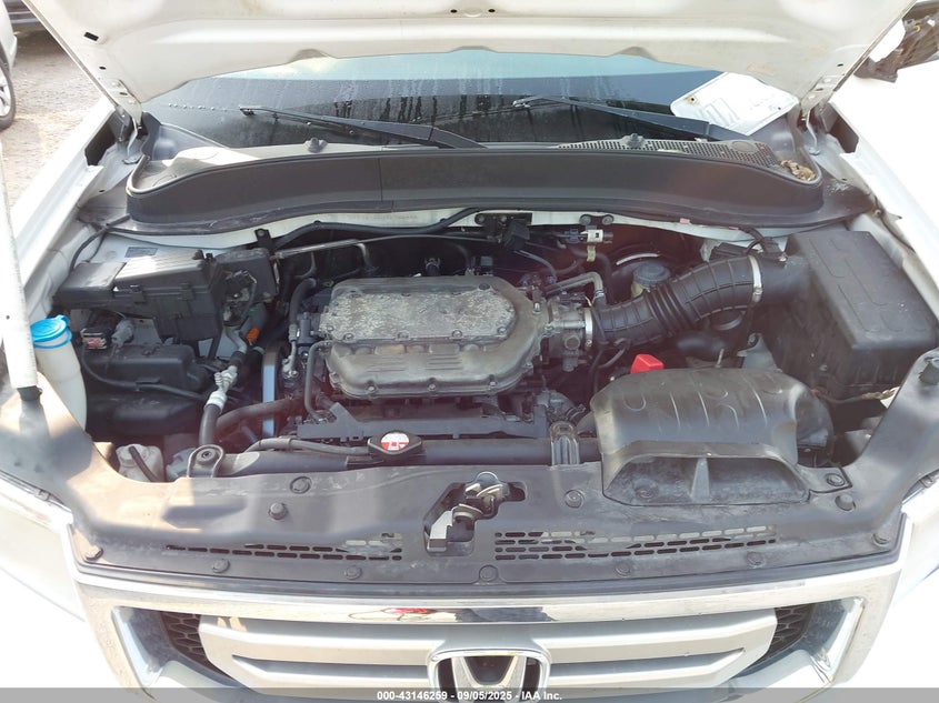 2009 Honda Ridgeline Rtl VIN: 5FPYK16599B103946 Lot: 43146259