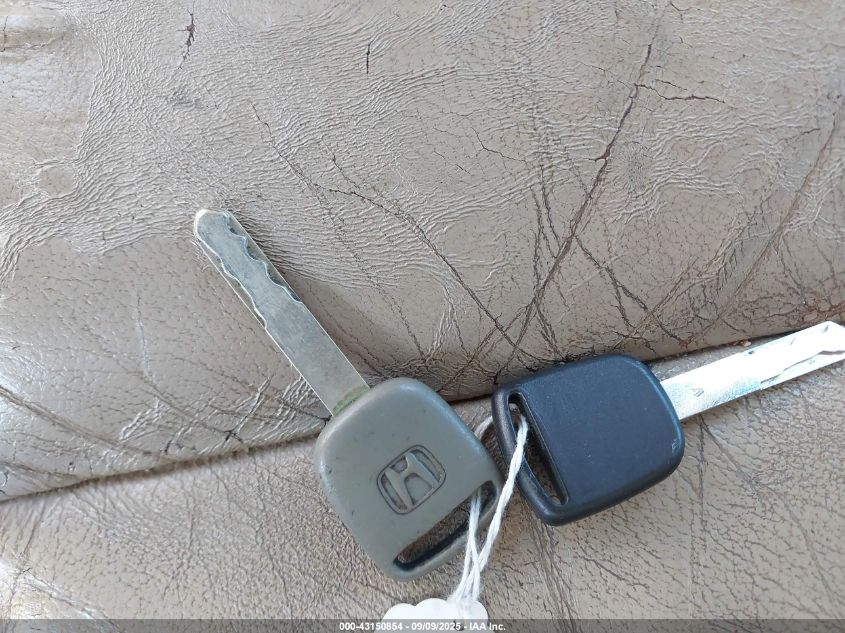 2007 Honda Odyssey Ex-L VIN: 5FNRL38707B072796 Lot: 43150854