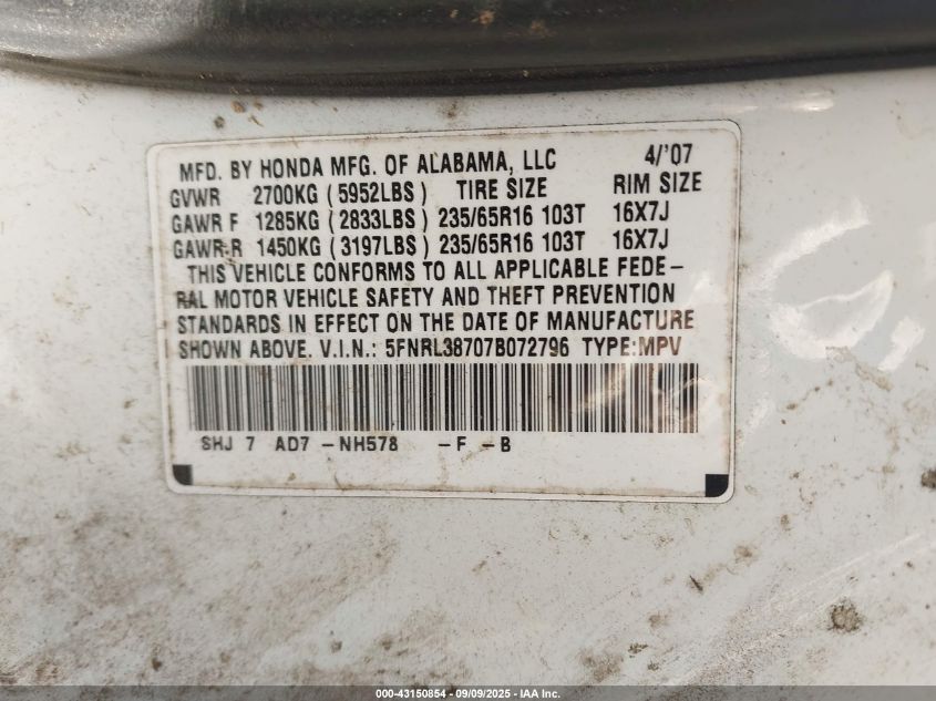 2007 Honda Odyssey Ex-L VIN: 5FNRL38707B072796 Lot: 43150854